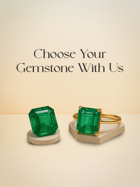 Why Choose Us